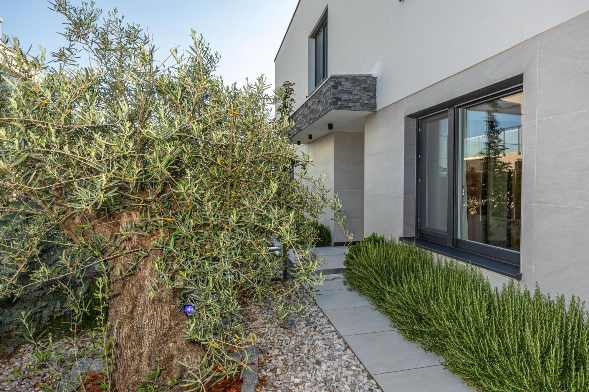 Luxury Villas White Sails Pinezići المظهر الخارجي الصورة